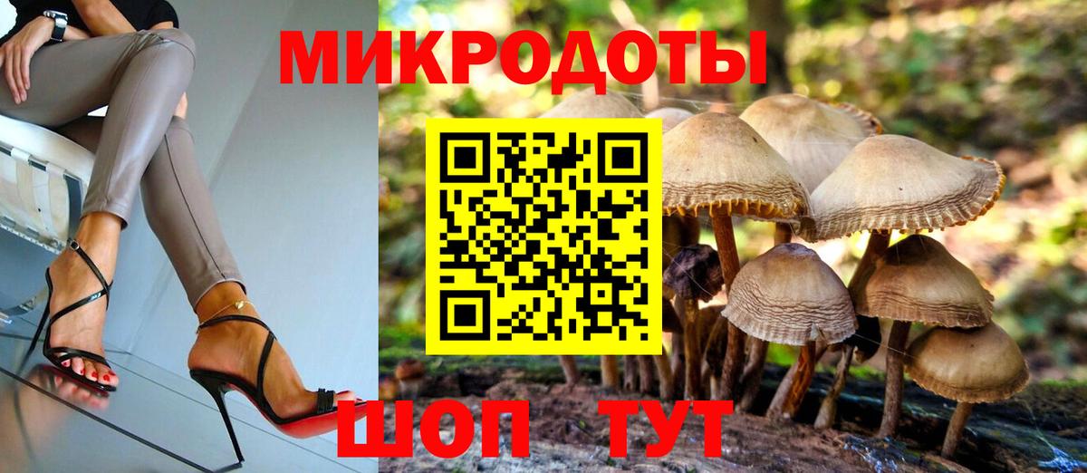 Псилоцибиновые грибы Cubensis Нягань